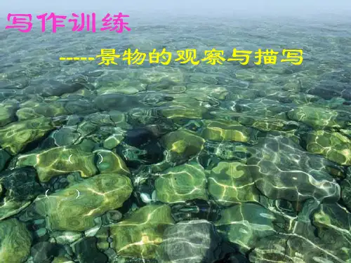 初中作文训练景物的观察与描写ppt