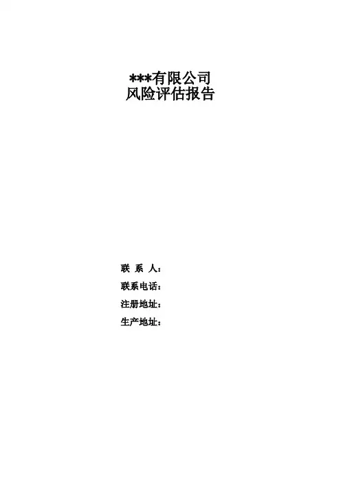 生产企业公司风险评估报告