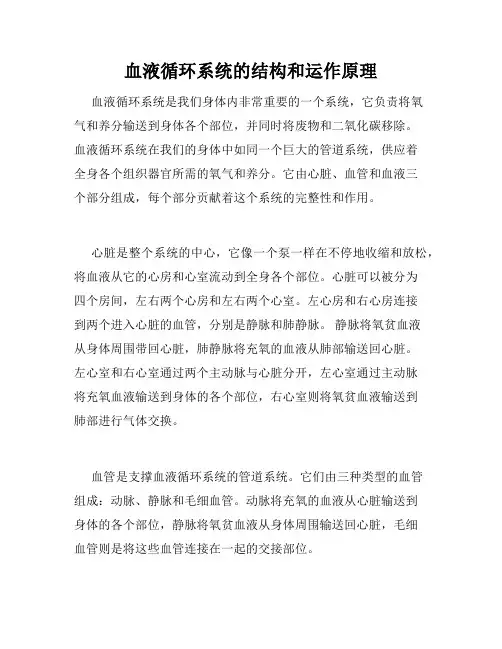 血液循环系统的结构和运作原理