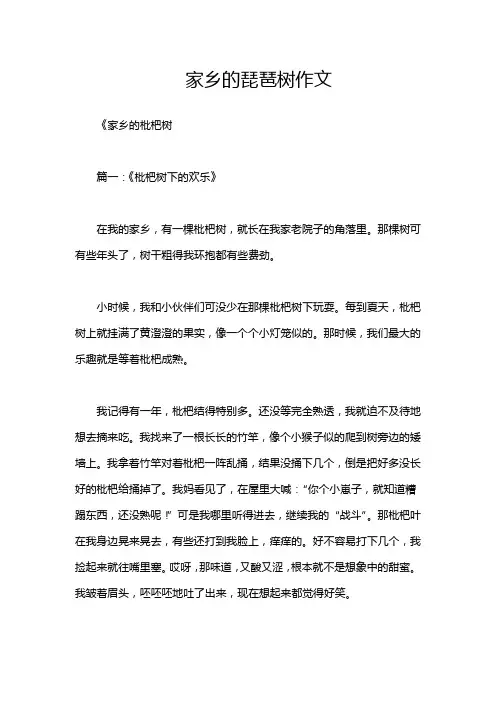 家乡的琵琶树作文
