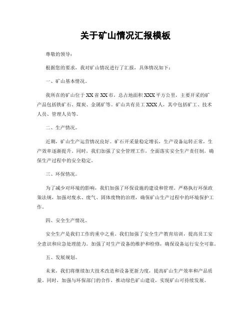 关于矿山情况汇报模板