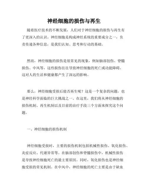 神经细胞的损伤与再生