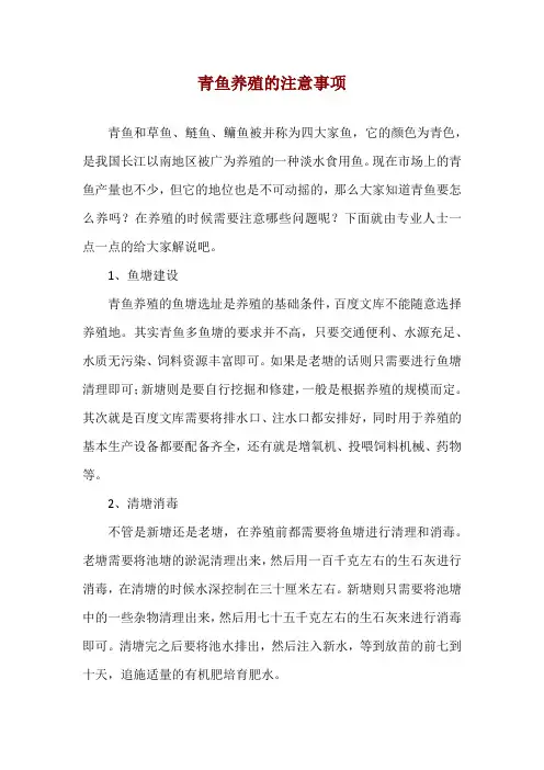 青鱼养殖的注意事项