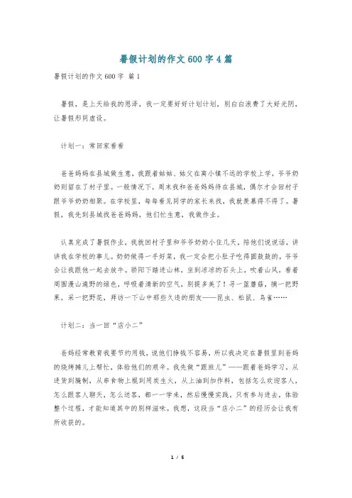 暑假计划的作文600字4篇