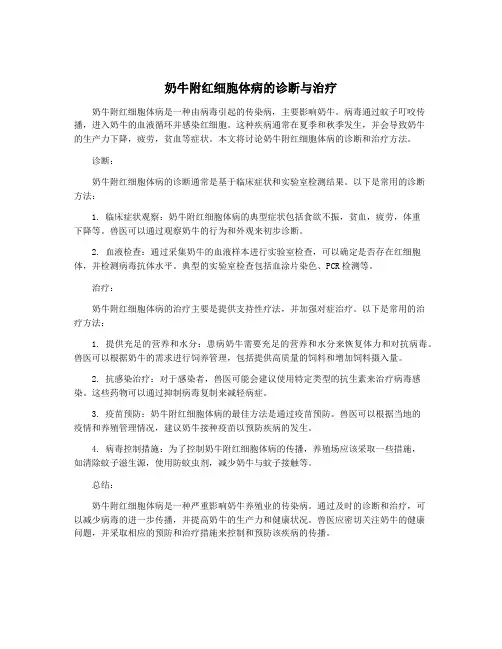 奶牛附红细胞体病的诊断与治疗