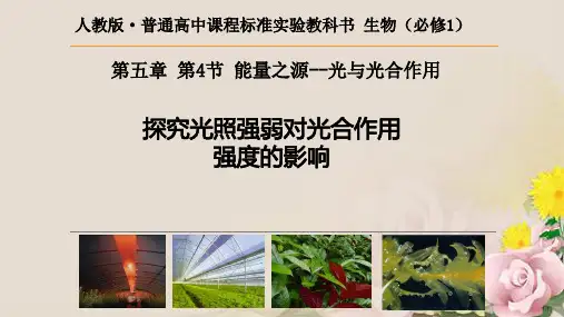 人教版必修1 生物：5.4 能量之源——光与光合作用 课件(共18张PPT)
