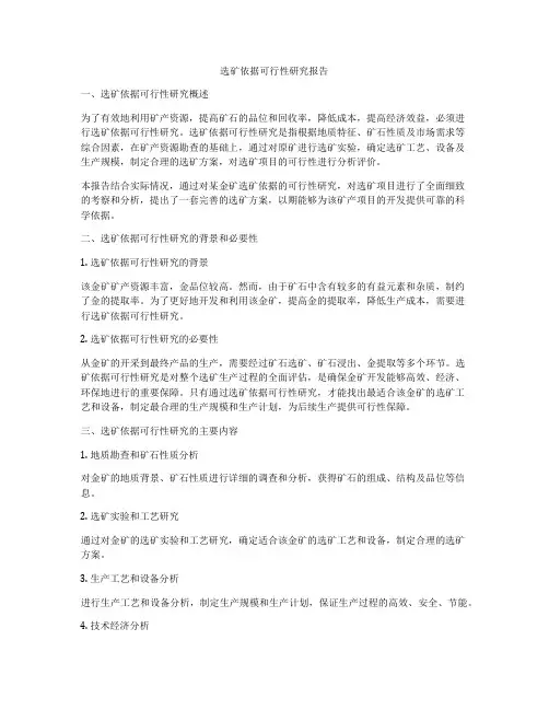选矿依据可行性研究报告