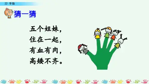 人教部编版语文五年级下册《手指》名师课件