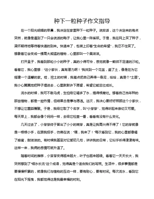 种下一粒种子作文指导