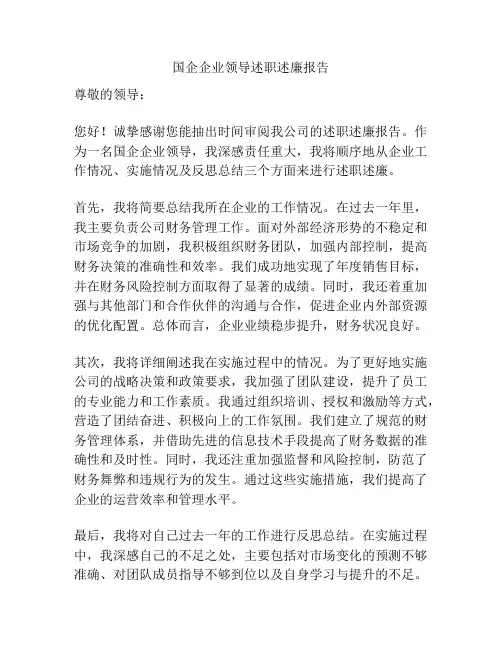 国企企业领导述职述廉报告