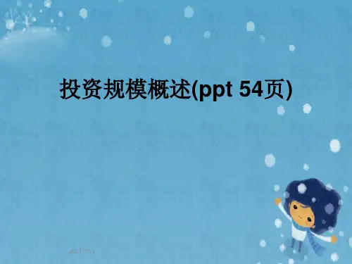 投资规模概述(ppt 54页)