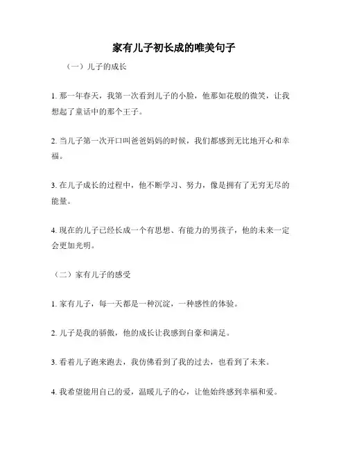 家有儿子初长成的唯美句子