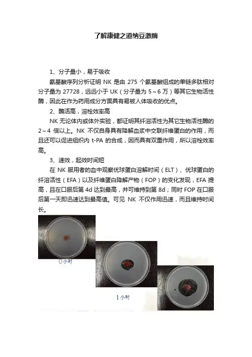 了解康健之道纳豆激酶