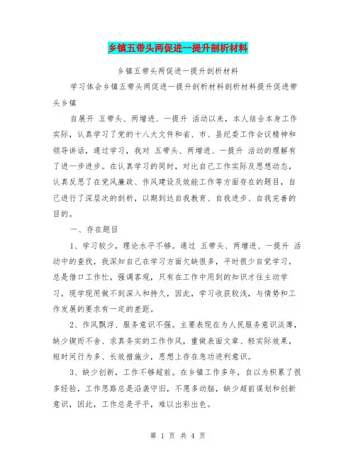 乡镇五带头两促进一提升剖析材料