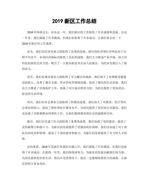 2019新区工作总结
