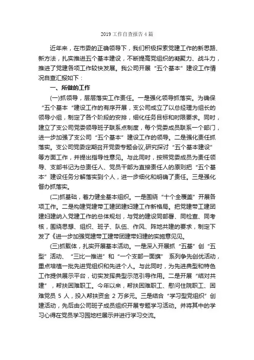 2019工作自查报告4篇_自查报告_