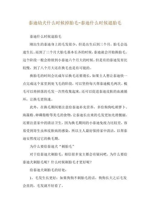 泰迪幼犬什么时候掉胎毛-泰迪什么时候退胎毛