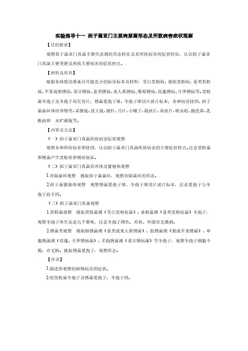实验指导十一担子菌亚门主要病原菌形态及所致病害症状观察