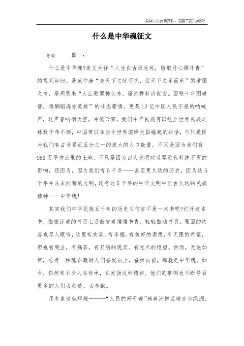 什么是中华魂征文