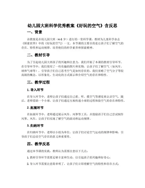 幼儿园大班科学优秀教案《好玩的空气》含反思