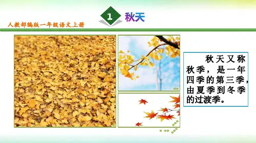 人教部编版一年级语文上册第1课《秋天》