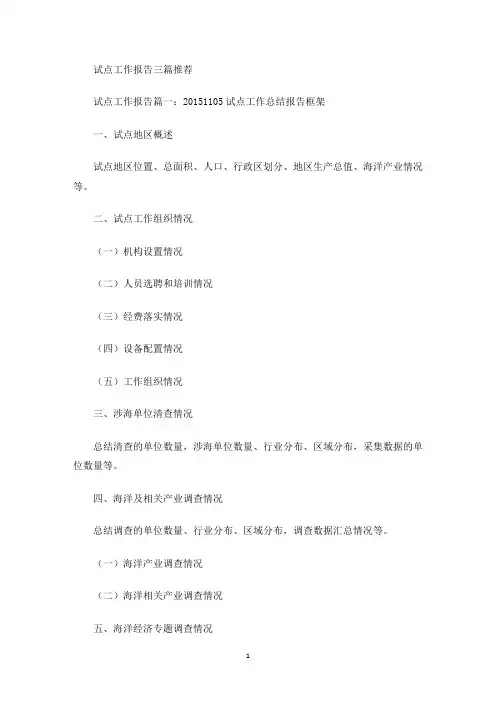 最新试点工作报告