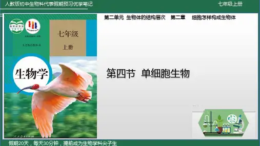 第13课 单细胞生物-2023年新七年级生物上册暑假预习优学笔记
