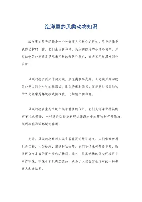 海洋里的贝类动物知识