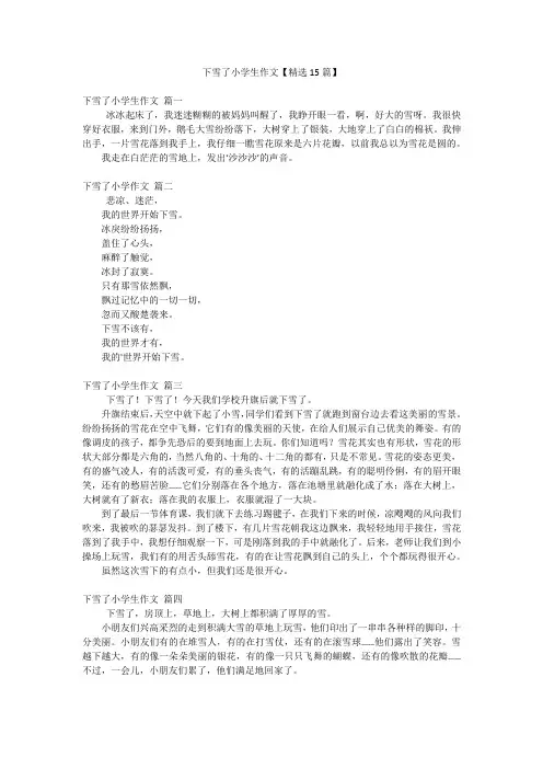 下雪了小学生作文【精选15篇】