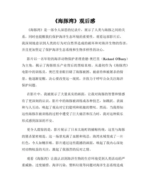 《海豚湾》观后感