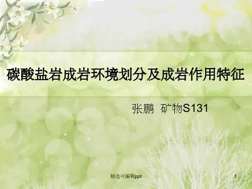 碳酸盐岩成岩环境划分及成岩作用特征