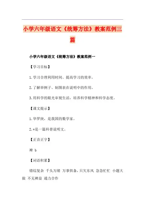 小学六年级语文《统筹方法》教案范例三篇