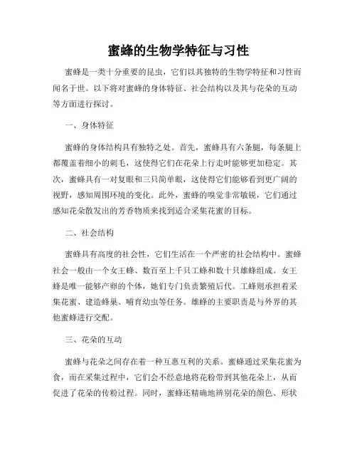 蜜蜂的生物学特征与习性