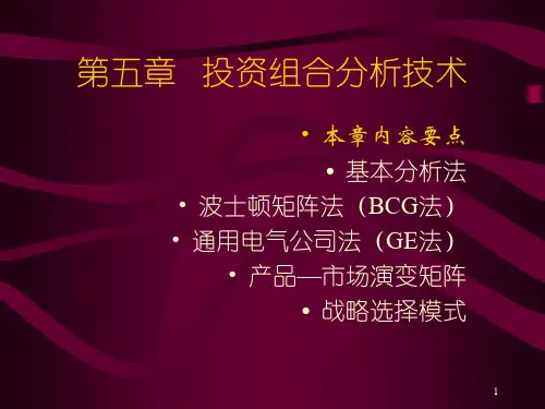 企业战略管理 第五章 投资组合分析技术