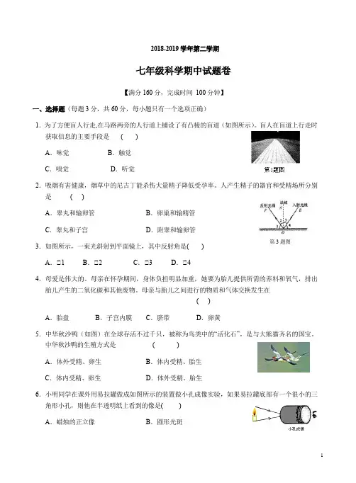 浙教版2018-2019学年下学期七年级科学期中检测试题卷附答案