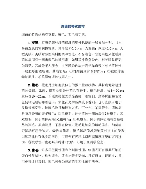 细菌的特殊结构