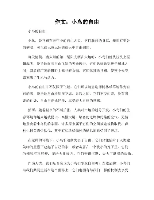 作文：小鸟的自由