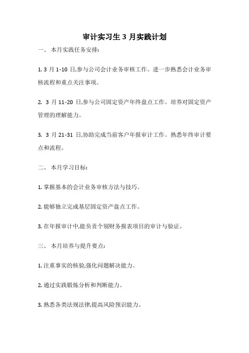 审计实习生3月实践计划