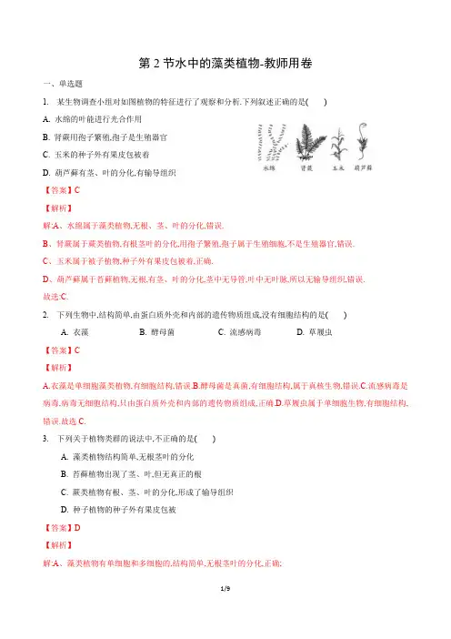 10.2 水中的藻类植物(练习)(解析版)