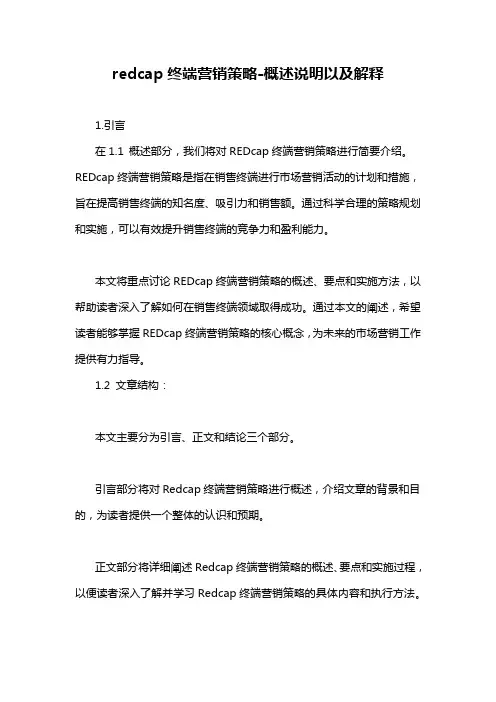 redcap终端营销策略-概述说明以及解释