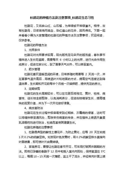 杜鹃花的种植方法及注意事项_杜鹃花生态习性