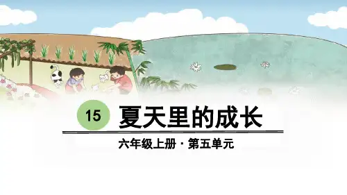 部编人教版六年级语文上册第15课《夏天里的成长》优质PPT课件