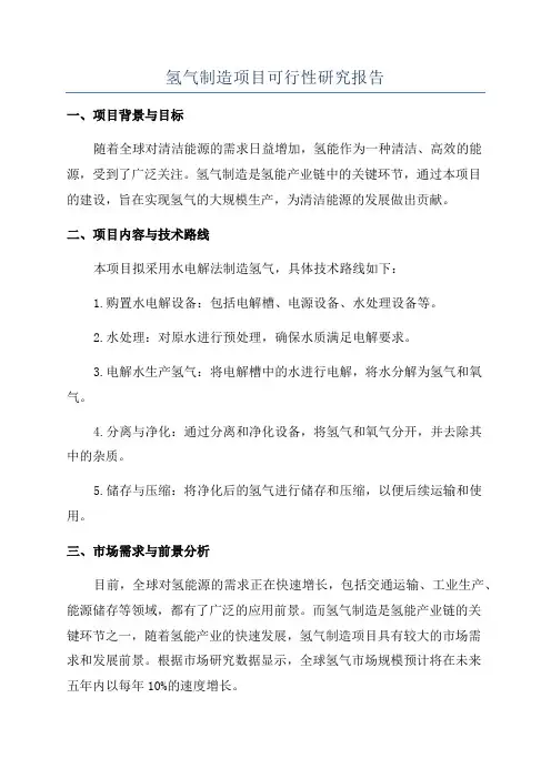 氢气制造项目可行性研究报告