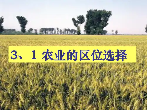 人教版高中地理必修二课件：3.1农业的区位选择 (共29张PPT)