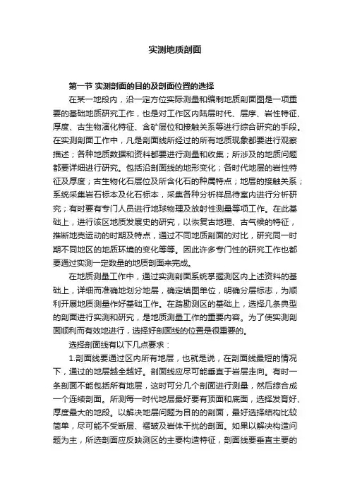 实测地质剖面