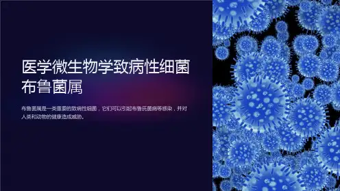 医学微生物学致病性细菌布鲁菌属