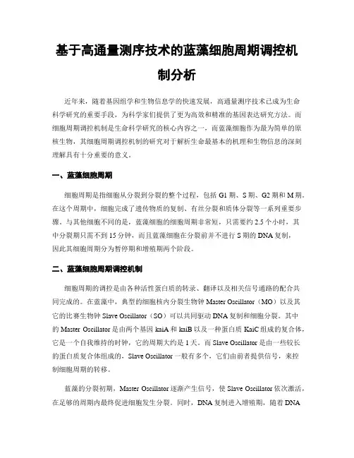 基于高通量测序技术的蓝藻细胞周期调控机制分析