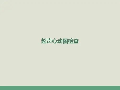 超声心动图基础  ppt课件
