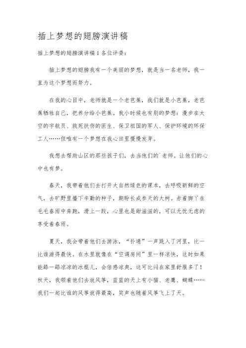插上梦想的翅膀演讲稿