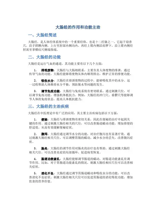 大肠经的作用和功能主治